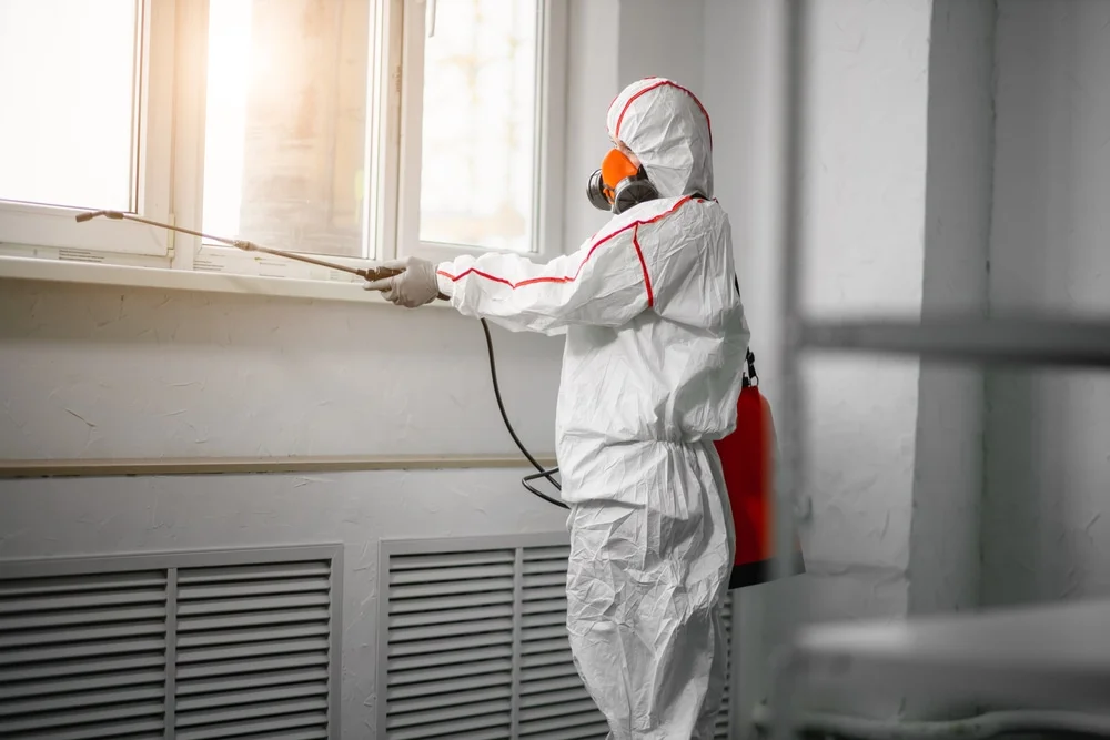 Professional mold remediation services in Pflugerville, TX
